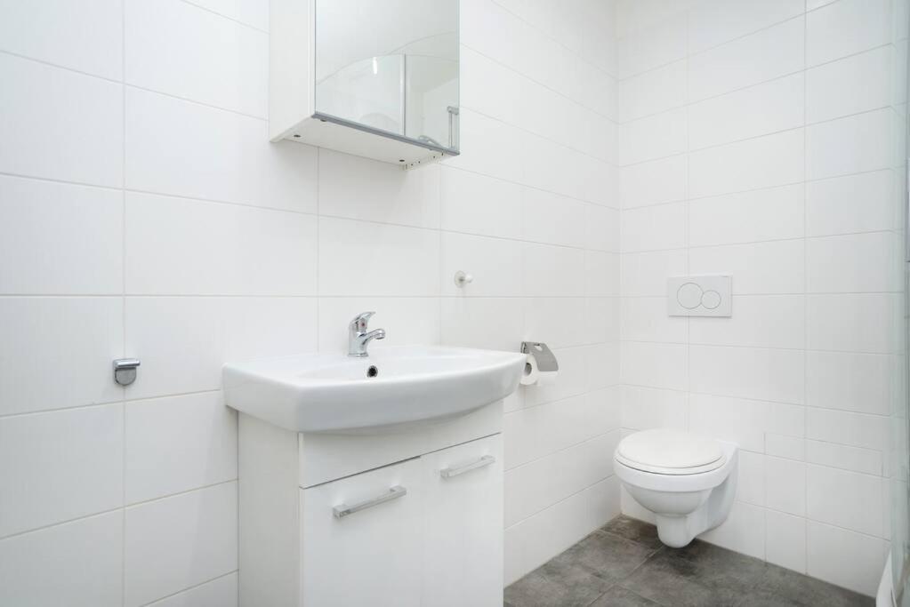 Bright, Spacious Apartment In The Historic Centre 布拉格 外观 照片